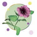 Purple petunia flower framed in a green circle on a white background with colorful dots.